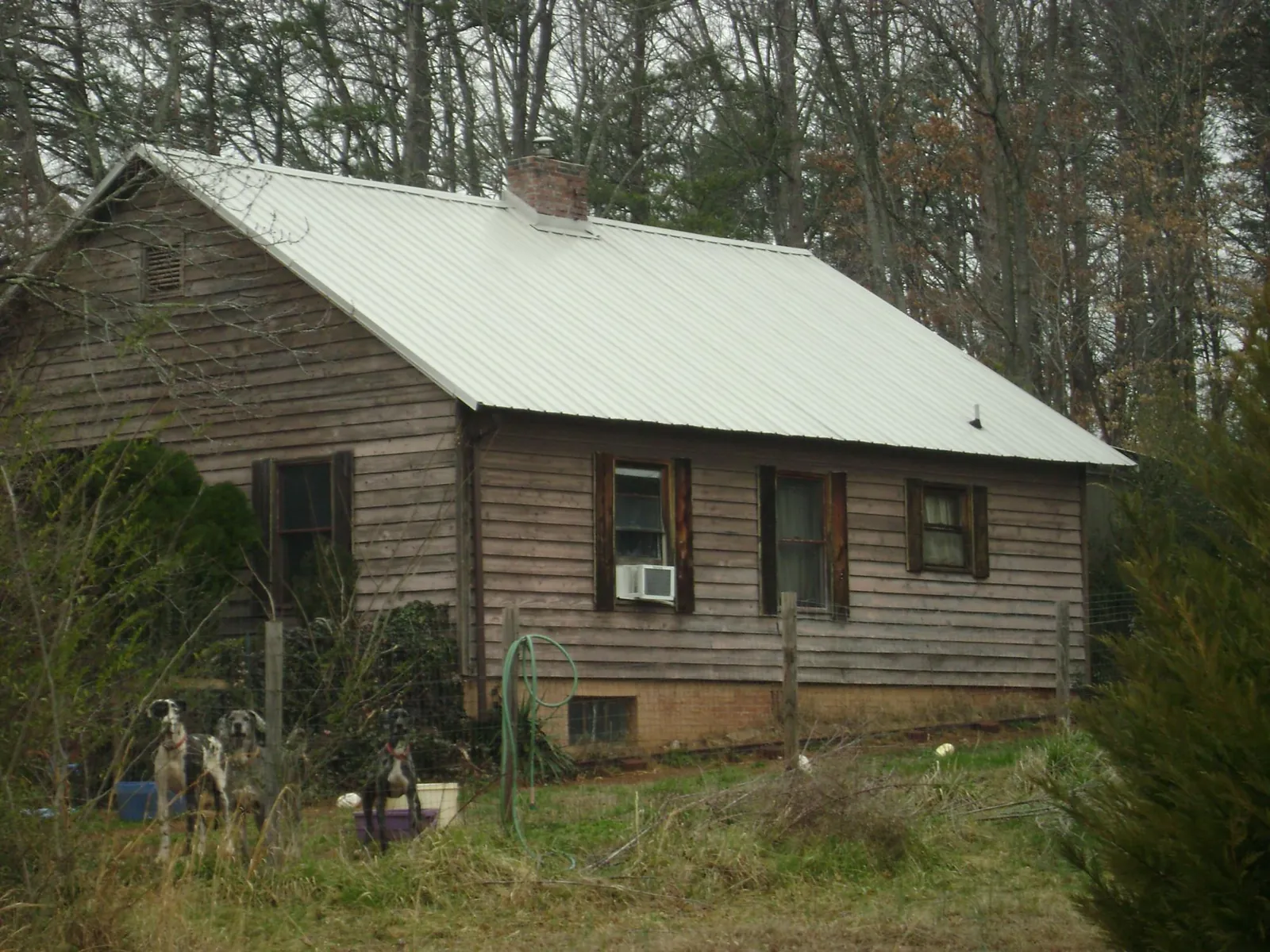 White metal roof on an old wood sided farmhouse in Jay Em